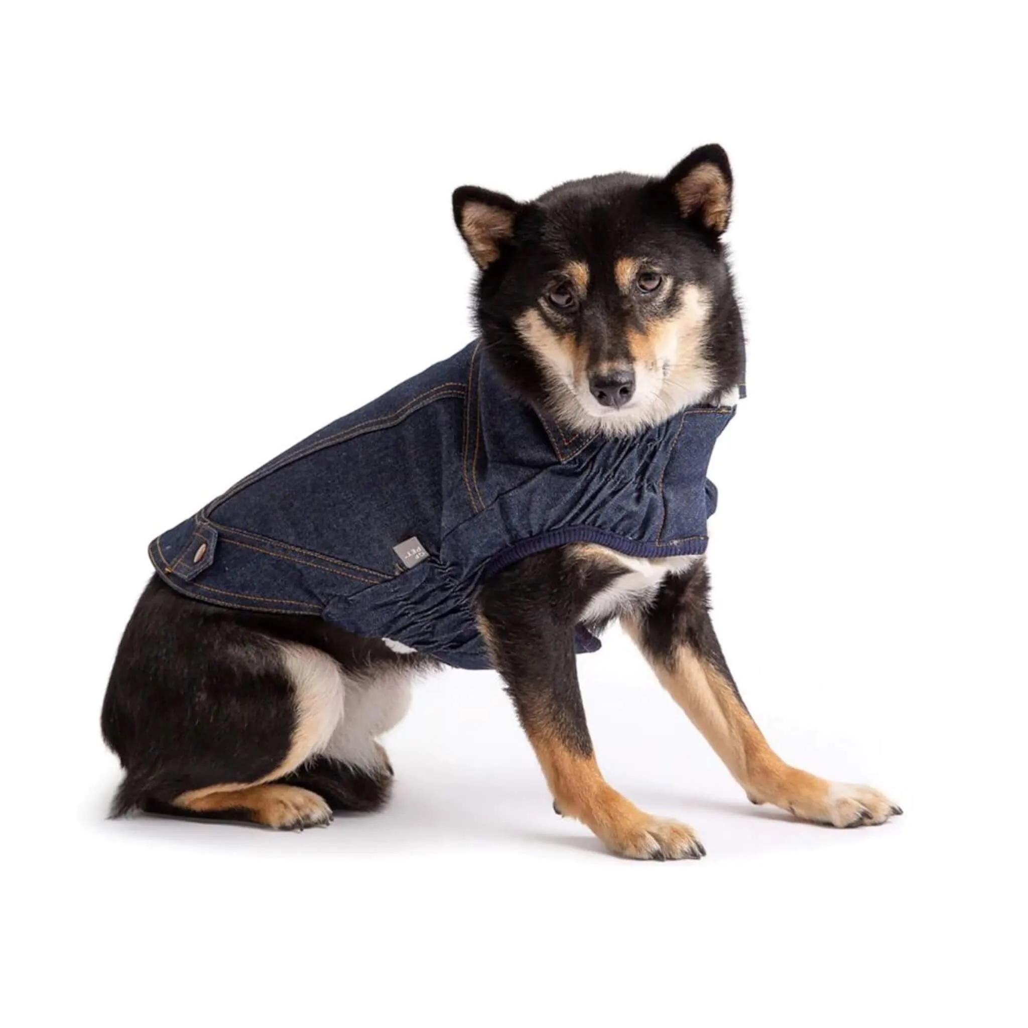 Denim Dog Jacket - Blue