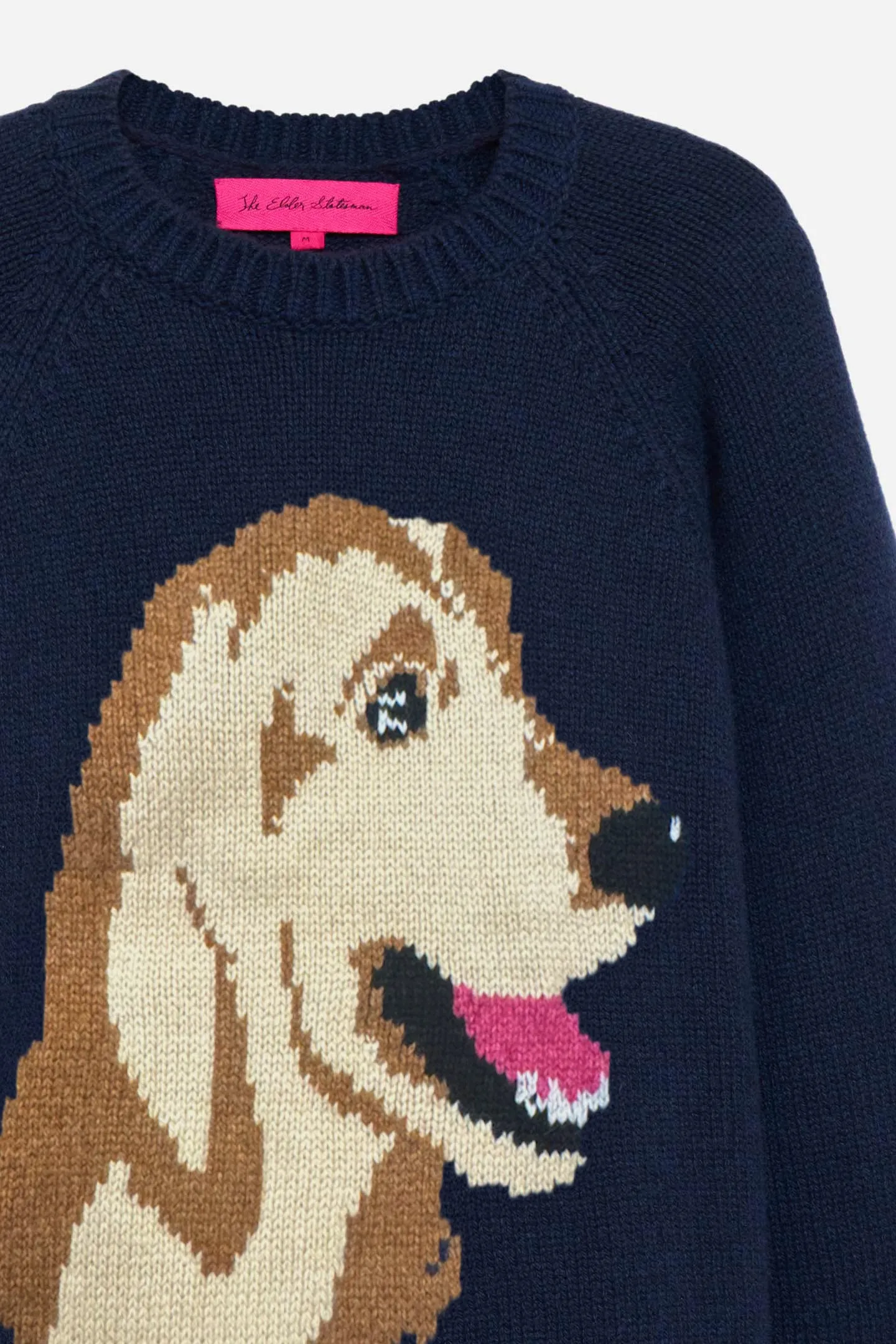 Retriever Raglan Crew